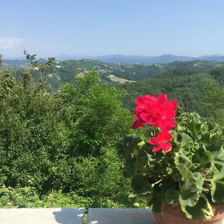 48 Buonacossa Visone