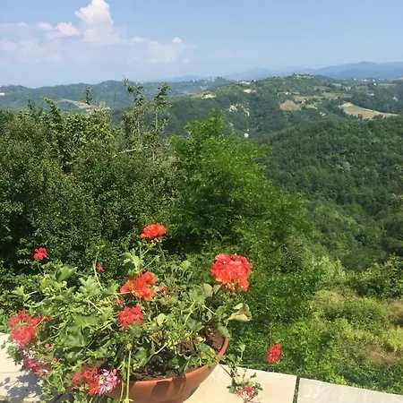 48 Buonacossa Visone